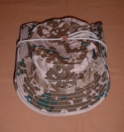 large image no2