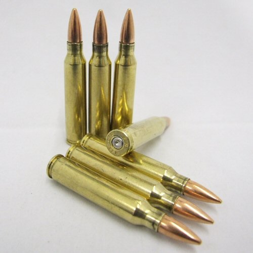 5.56 Inert Round Brass