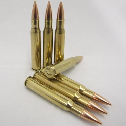 .30 06 Inert Round Brass